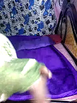 sarika-telugu online show from April 21, 2026, 2:51 am