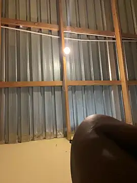 Snapshot of solodrive chatting on February 24, 2026, 10:13 am solodrive online show from February 24, 2026, 10:13 am