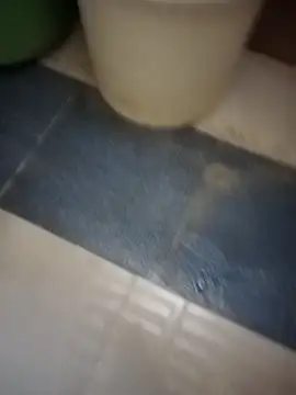 Snapshot of HeatableRevan chatting on March 19, 2026, 1:09 am HeatableRevan online show from March 19, 2026, 1:09 am