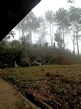 sowbibi online show from December 15, 2025, 2:16 am