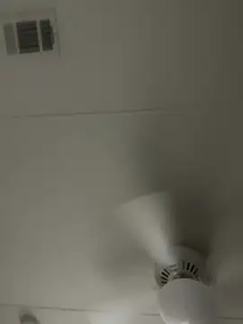 D13ON3L online show from November 8, 2025, 8:03 am