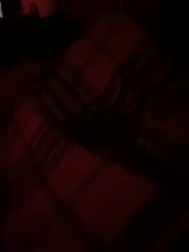 llllllllIIIll online show from February 15, 2026, 3:58 am