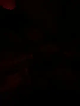 llllllllIIIll online show from March 9, 2026, 8:18 am