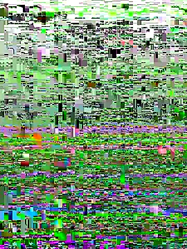 Snapshot of perfectguy4u chatting on October 28, 2025, 8:55 pm perfectguy4u online show from October 28, 2025, 8:55 pm