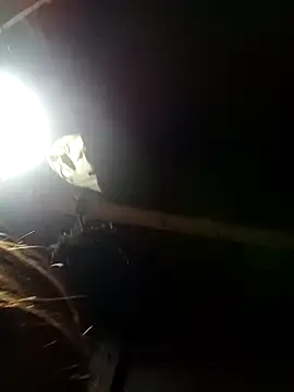 Snapshot of bella-la chatting on February 9, 2026, 11:14 am bella-la online show from February 9, 2026, 11:14 am