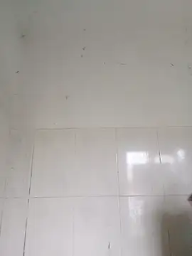 Snapshot of bella-la chatting on February 12, 2026, 1:00 am bella-la online show from February 12, 2026, 1:00 am