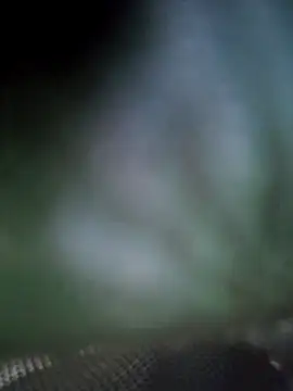 Georgette466 online show from April 18, 2026, 2:10 pm