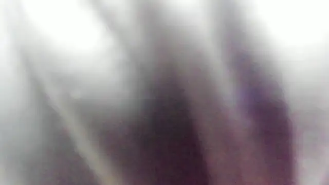 wild best online show from February 16, 2026, 3:19 pm