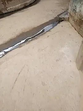 Snapshot of Pandey0012 chatting on October 28, 2025, 2:26 am Pandey0012 online show from October 28, 2025, 2:26 am