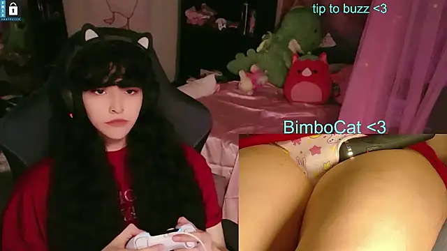 BimboCat online show from June 11, 2026, 8:29 pm