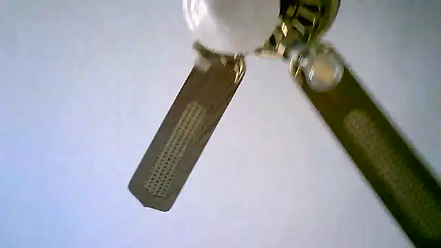 Snapshot of Sylviastar46 chatting on November 11, 2025, 2:50 pm Sylviastar46 online show from November 11, 2025, 2:50 pm