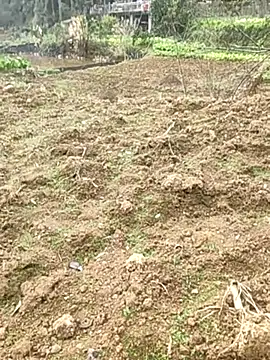 tian7788 online show from February 17, 2026, 3:03 am