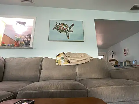 Snapshot of hatgirlsolo chatting on December 1, 2025, 8:14 pm hatgirlsolo online show from December 1, 2025, 8:14 pm