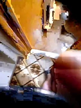 pino870 online show from February 3, 2026, 10:04 pm