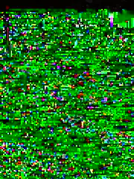 gatitaamelosaa7 online show from February 19, 2026, 9:44 pm