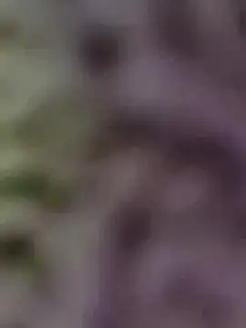 Hot-Sana2 online show from January 13, 2026, 1:49 pm