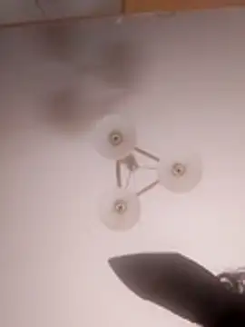 Brigitta886 online show from March 31, 2026, 2:57 am