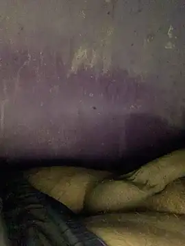 hotman29 online show from November 24, 2025, 8:52 pm