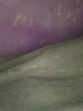 hotman29 online show from January 17, 2026, 12:48 am