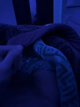 jafop098864 online show from March 2, 2026, 3:20 am