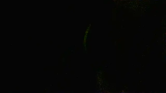 Snapshot of Zulreyna chatting on May 6, 2026, 4:52 am Zulreyna online show from May 6, 2026, 4:52 am