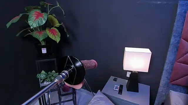 Amy whittee online show from March 27, 2026, 3:34 am