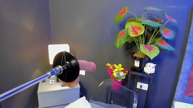 Amy whittee online show from April 12, 2026, 3:44 am