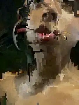 mara rosseX online show from November 9, 2025, 6:33 am