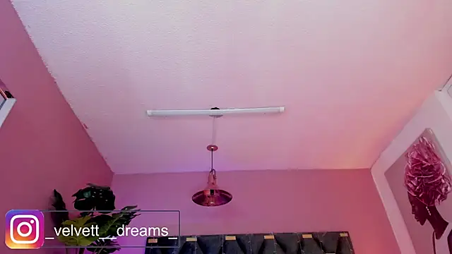 Velvet Dreamss online show from May 27, 2026, 11:51 am