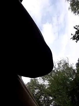 Snapshot of Mc02 chatting on November 11, 2025, 12:38 pm Mc02 online show from November 11, 2025, 12:38 pm