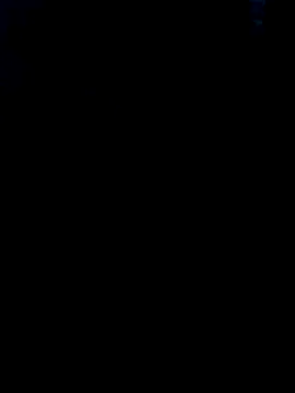 Heterobusca online show from November 30, 2025, 8:29 am