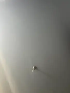 stripboy1b online show from November 13, 2025, 7:18 am