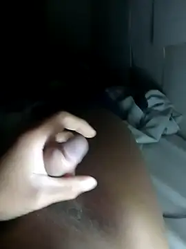 LeeWCDyan online show from November 15, 2025, 11:32 pm