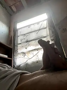 Snapshot of 24_c chatting on December 2, 2025, 11:04 am 24 c online show from December 2, 2025, 11:04 am