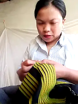 thien-nhien online show from November 25, 2025, 11:49 pm