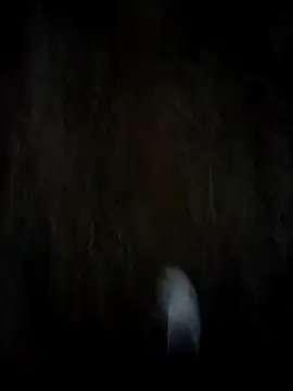 Snapshot of itsme_chappie chatting on February 19, 2026, 12:56 pm itsme chappie online show from February 19, 2026, 12:56 pm