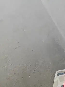 fpic online show from February 9, 2026, 4:44 pm