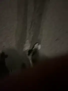 Snapshot of Pumxxxx chatting on November 30, 2025, 4:16 am Pumxxxx online show from November 30, 2025, 4:16 am