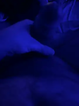 Snapshot of darknebula80 chatting on February 14, 2026, 11:56 pm darknebula80 online show from February 14, 2026, 11:56 pm