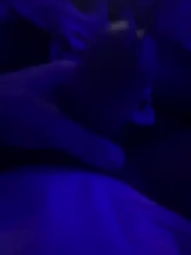 Snapshot of darknebula80 chatting on February 25, 2026, 12:31 am darknebula80 online show from February 25, 2026, 12:31 am