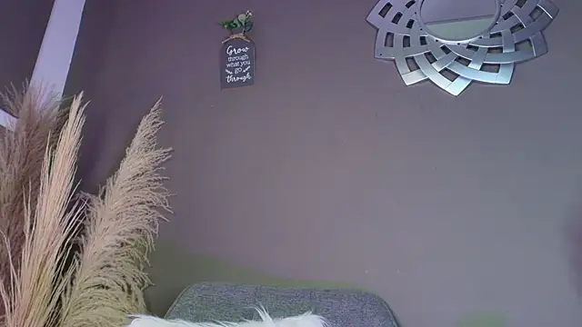 Snapshot of PauletteSanderss chatting on January 13, 2026, 7:41 pm PauletteSanderss online show from January 13, 2026, 7:41 pm