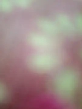 Nandani-758 online show from February 20, 2026, 9:00 am