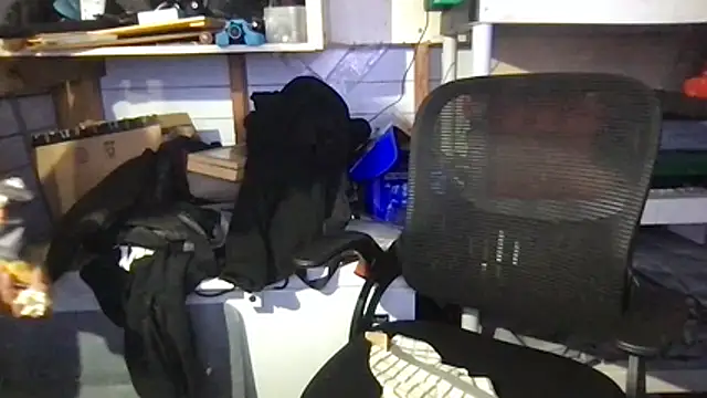 SinlessFreedom7 online show from February 13, 2026, 8:54 am