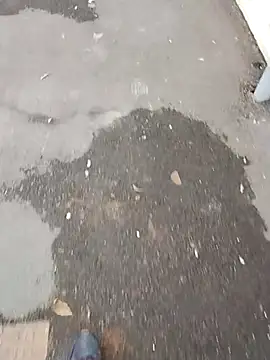 NovelPastime6 online show from January 14, 2026, 2:44 pm