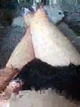 Snapshot of boo202179 chatting on November 21, 2025, 2:27 pm boo202179 online show from November 21, 2025, 2:27 pm