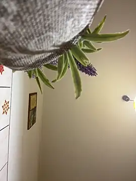 CrazyJessika online show from March 9, 2026, 9:08 pm