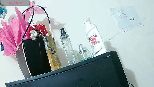 ashleey palmer online show from June 15, 2026, 12:51 pm