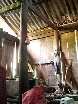 Lily-ross22 online show from November 25, 2025, 5:07 am