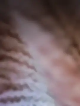 Snapshot of Punam_panjabi chatting on February 28, 2026, 7:53 am Punam panjabi online show from February 28, 2026, 7:53 am