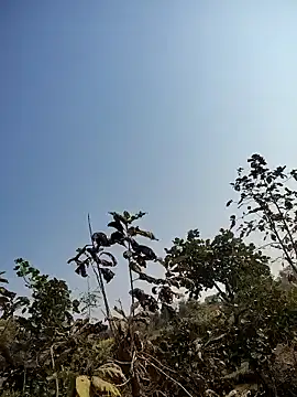 88zaifkhan88 online show from January 14, 2026, 5:13 am